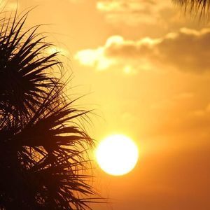 Meet your Posher, Cathy